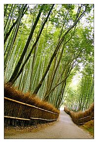 World & Travel: Japan, Island country in East Asia