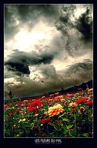 Japan, Island country in East Asia