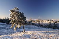 World & Travel: Ai Petri, Yalta, Ukraine