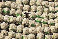 World & Travel: world travel landscape photography