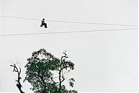 TopRq.com search results: Old pulley system over the abyss, Rio Negro, Colombia