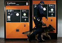 World & Travel: US transit security beefed up after Moscow blast, United States