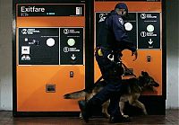 TopRq.com search results: US transit security beefed up after Moscow blast, United States