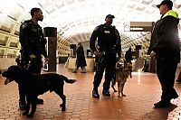 TopRq.com search results: US transit security beefed up after Moscow blast, United States