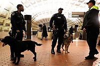 World & Travel: US transit security beefed up after Moscow blast, United States