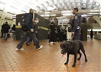 TopRq.com search results: US transit security beefed up after Moscow blast, United States