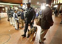 TopRq.com search results: US transit security beefed up after Moscow blast, United States