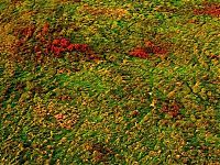 TopRq.com search results: Lithuania, Europe