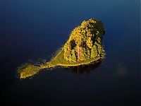 TopRq.com search results: Lithuania, Europe