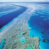 TopRq.com search results: Stranded ship, Great Barrier Reef, Coral Sea, Queensland, Australia