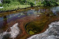 World & Travel: Caño Cristales, The River of Five Colors, Serrania de la Macarena, Meta, Colombia