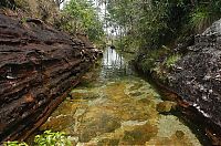 TopRq.com search results: Caño Cristales, The River of Five Colors, Serrania de la Macarena, Meta, Colombia