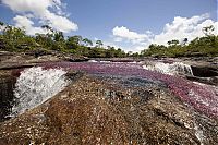 World & Travel: Caño Cristales, The River of Five Colors, Serrania de la Macarena, Meta, Colombia