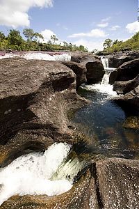 TopRq.com search results: Caño Cristales, The River of Five Colors, Serrania de la Macarena, Meta, Colombia