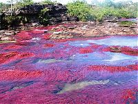 World & Travel: Caño Cristales, The River of Five Colors, Serrania de la Macarena, Meta, Colombia