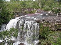 TopRq.com search results: Caño Cristales, The River of Five Colors, Serrania de la Macarena, Meta, Colombia