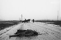 World & Travel: History: World War II photography