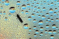 World & Travel: National Geographic Photography