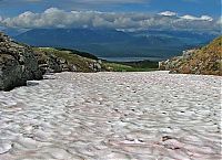 World & Travel: Watermelon snow, California