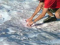 World & Travel: Watermelon snow, California