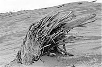 TopRq.com search results: Mount St. Helens, Eruption in 1980