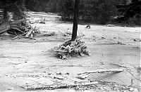 TopRq.com search results: Mount St. Helens, Eruption in 1980