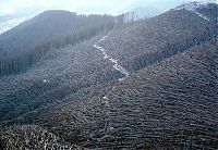 TopRq.com search results: Mount St. Helens, Eruption in 1980