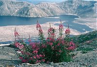 TopRq.com search results: Mount St. Helens, Eruption in 1980