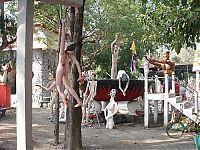 World & Travel: Wat Chaiya Phum Phithak, Thailand