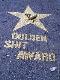 World & Travel: Golden shit award, St. Petersburg, Russia