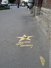 TopRq.com search results: Golden shit award, St. Petersburg, Russia