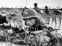 World & Travel: History: Vietnam war in photographs