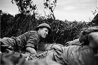 History: Vietnam war in photographs