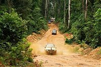 TopRq.com search results: Trans-Amazonian Highway