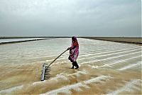 World & Travel: Salt production, India and Indonesia