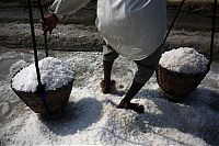 TopRq.com search results: Salt production, India and Indonesia