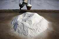 TopRq.com search results: Salt production, India and Indonesia