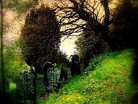 TopRq.com search results: graveyards around the world