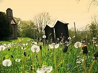 World & Travel: graveyards around the world