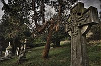 TopRq.com search results: graveyards around the world