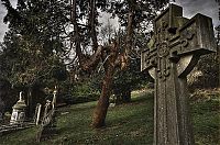 World & Travel: graveyards around the world