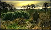 World & Travel: graveyards around the world