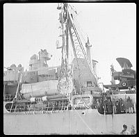TopRq.com search results: History: Arctic expedition