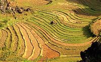 World & Travel: paddy fields, rice terraces