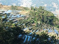 TopRq.com search results: paddy fields, rice terraces