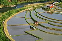 World & Travel: paddy fields, rice terraces