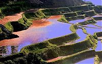 World & Travel: paddy fields, rice terraces