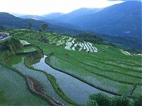 World & Travel: paddy fields, rice terraces