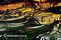 TopRq.com search results: paddy fields, rice terraces