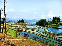 TopRq.com search results: paddy fields, rice terraces